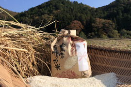 【令和4年産特別栽培米・白米3kg】
超大粒“米王”‼️甘くてモチモチ、香りの良い能勢天神米。