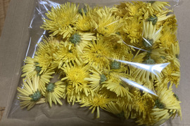 山形伝統野菜 食用菊150g