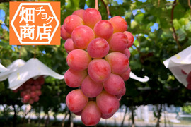 数量限定【山梨県が開発】サンシャインレッド ２ｋｇ（４房～６房） 濃厚な甘さ＆爽やかなマスカットの香り 希少品種　話題の「赤いシャインマスカット」 笛吹市産　皮ごとOK　種なし