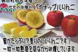 数量限定　くだもの中屋のパイナップルりんご　お徳用小玉