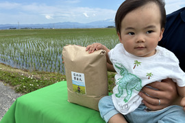 令和8年産米　大きい粒でとっても美味しい　雪若丸　玄米30キロ（30キロ3袋小分け専用）