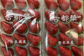家庭用 古都華 ２箱（4パック）訳あり　セット　【母の日ギフト】奈良県　橋本農園　ことか　270g×4パック　いちご　苺