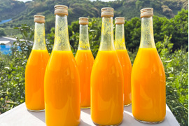 《ラベルレス・6本入り》のうろくジュース◆オレンジ感たっぷり！濃厚な味わいを楽しめます！◆添加物・保存料不使用！