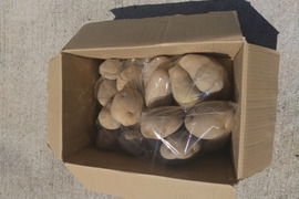 【食べ比べ】男爵いも・メークイン・キタアカリ 各1kgセット（合計3kg）｜除草剤不使用｜和歌山県日高川町産