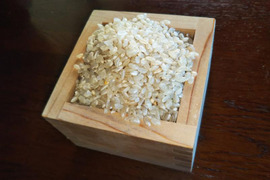 令和3年度産 自然栽培米 【姫ごのみ】 玄米 20kg