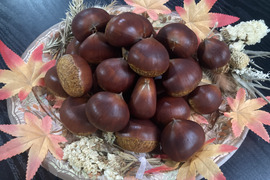 ☆丹波くり　晩生 「筑波」 希少４Lサイズ 約1kg（本州のみ）