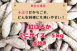 ちょうどいいサイズで大満足！ミニサイズの紅はるか（5kg）