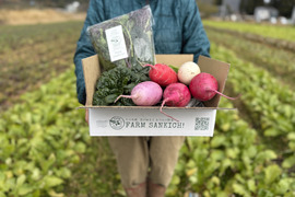 信州をお試し【旬彩野菜】BOX２～3人前　クリスマスパーティーにも！サラダリーフミックス140g1パック＋季節野菜1～2品。無施肥栽培・長野県安曇野産・冬ギフト