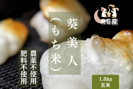 R6葵美人（もち米）玄米1.8kg（自然栽培）