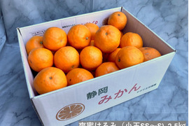 【小玉】甘くて爽やか「爽蜜はるみ」 みかん2.5㎏ SS～Sサイズ　糖度13～15度　静岡県より産地直送