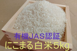 有機JAS認証【農薬不使用「にこまる」白米5kg】コシヒカリを超えた美味しさ 2024年兵庫県産「タガメの里・自然米」
