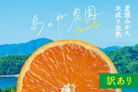 【訳あり】きよみ 島のね農園【愛媛みかん/木成り完熟/サイズ混合/5kg】