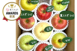 🍎 【アワード受賞福袋】 【冬ギフト】(家庭用)5品種詰め合わせ🍎3キロ   おまかせ 商品ID171041
