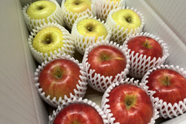 1月発送【ロマンシリーズ食べ比べ】奥州ロマン　藤原ロマン　3kg(12～14個)