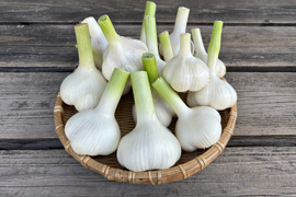 農薬/化学肥料不使用【土付き・生ニンニク】福地ホワイト六片・LM混在・1kg　‐数量限定特価‐
