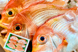 【唐揚げ・南蛮漬けに】小さめレンコダイ（２kg）