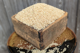 《令和５年米》玄米２.１KG（約14合分）栽培期間中農薬・化学肥料不使用 自然農業での栽培 五島列島産
