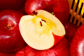 【2026年予約】『シナノホッペ』家庭用　甘くて硬い！ほっぺが落ちる美味しさ♡3kg