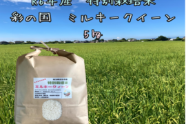 極甘！柔らかなもちのような食感　
R6年産　特別栽培米ミルキークイーン　5㎏×1袋