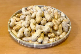 【夜市限定】ビールのおつまみにどうぞ!”茹でらっか”専用落花生「おおまさり1kg」