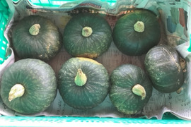 学校給食の定番カボチャくりほまれ１㎏1個