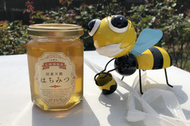 ♡国産天然はちみつ100%(300g)1個♡