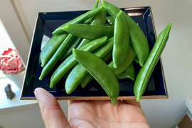 ぷり甘～！スナップエンドウ箱込み500ｇ