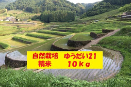 【令和7年新米】自然栽培「ゆうだい２１」精米　１０ｋｇ