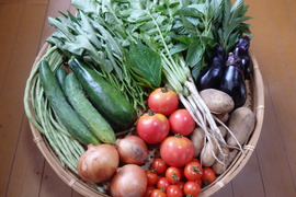 【自然栽培】高原の野菜セットM（11〜12品目）