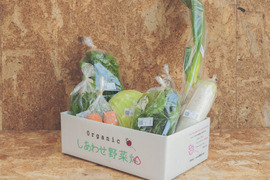 旬の有機野菜Mセット　しあわせ野菜畑（有機JAS）