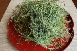 奥出雲産自然栽培すぎな茶(20g)