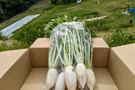 【感謝価格】 奈良県の野菜で産地直送の商品｜食べチョク｜産地直送(産直)お 野菜