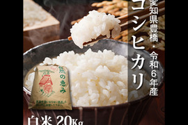 ブランドバッグ通販サイト 節減対象農薬6割減】】コシヒカリ 白米 20kg（10kg×2袋）【令和6 米・雑穀・粉類