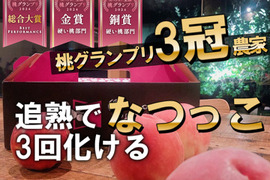 🎊全国桃グランプリ3冠小野桃園ブランド🎊ガツンとくる甘さを求めるならこれ一択なつっこ🍑一流レストラン御用達1kgお試し特価ももキャンペーン【朝どれ】グランプリ受賞の実力糖度🍑【夏ギフト】