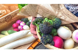 農薬未使用！旬の採れたて新鮮野菜おまかせセット（８～１０品目）