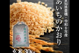【節減対象農薬6割減】あいちのかおり 玄米30g（10kg×3袋）【令和6年・愛知県産】