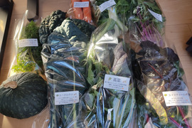 ✨世界に一つだけのプレミアム野菜便（農薬・化成肥料不使用）✨あなたの「欲しい」が詰まった一箱。わがままを叶えるオーダーメイド野菜便🥬