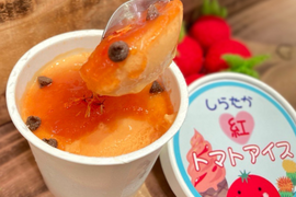 【父の日ギフト】甘くて爽やか、ご褒美時間に☆しらたか紅トマトアイス　6個入り