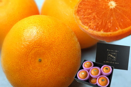 🏆みかん柑橘グランプリ2026最高金賞含む最多４部門受賞の木熟せとか！大感動！樹上完熟させた濃厚な甘みの大トロせとか！とろける甘さと上品な味わい！「木熟せとか」厳選プレミアム　約１．４ｋｇ【401】