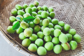 爽やかな酸味と香り　青梅２kg【自然栽培】
