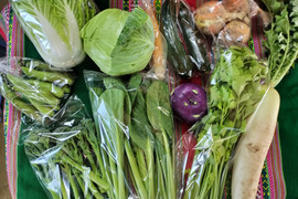 曜日限定12時までの注文で当日発送!!お楽しみ★農園自慢の情熱野菜セット 9袋 フードロス対策 パチャママ農園