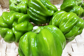 【お試し】伝統の味！ぼたんこしょう（約200g）農薬・化学肥料不使用