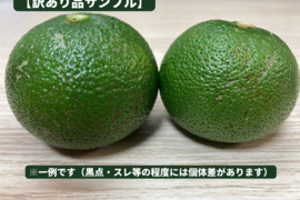 ※訳あり品　長門ゆずきち【栽培期間中農薬不使用・自然栽培米の米ぬかと畑の草でマルチをして育てています】約１
kg（まずはお試しに）料理人が惚れ込んだ、山口県の希少な香酸柑橘