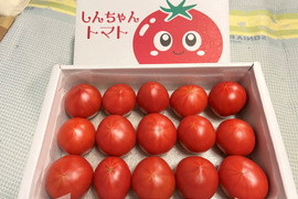 完熟トマト　糖度7～8度　約750ｇ　高知県産