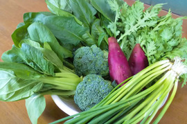 【お試しセット】冬野菜６種詰め合わせ｜2.5kg
