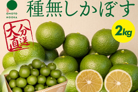 【残りわずか】超便利な種無しかぼす（２kg）