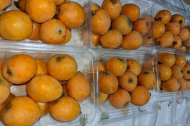 訳あり枇杷 　M～２Ｌサイズ（大きさ不揃い）　約３Kg（箱込み）