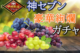 【高級ブランド葡萄】人気トップ７食べ比べガチャ何が届くかお楽しみ2024年9月上旬発送【詰め合わせお試し約1kg2種セット】