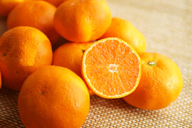 とれたてしもつみかん5kg｜和歌山県海南市下津町から産地直送でお届け