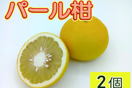 【お試しに】ビッグで上品な甘み！『パール柑』【2個】